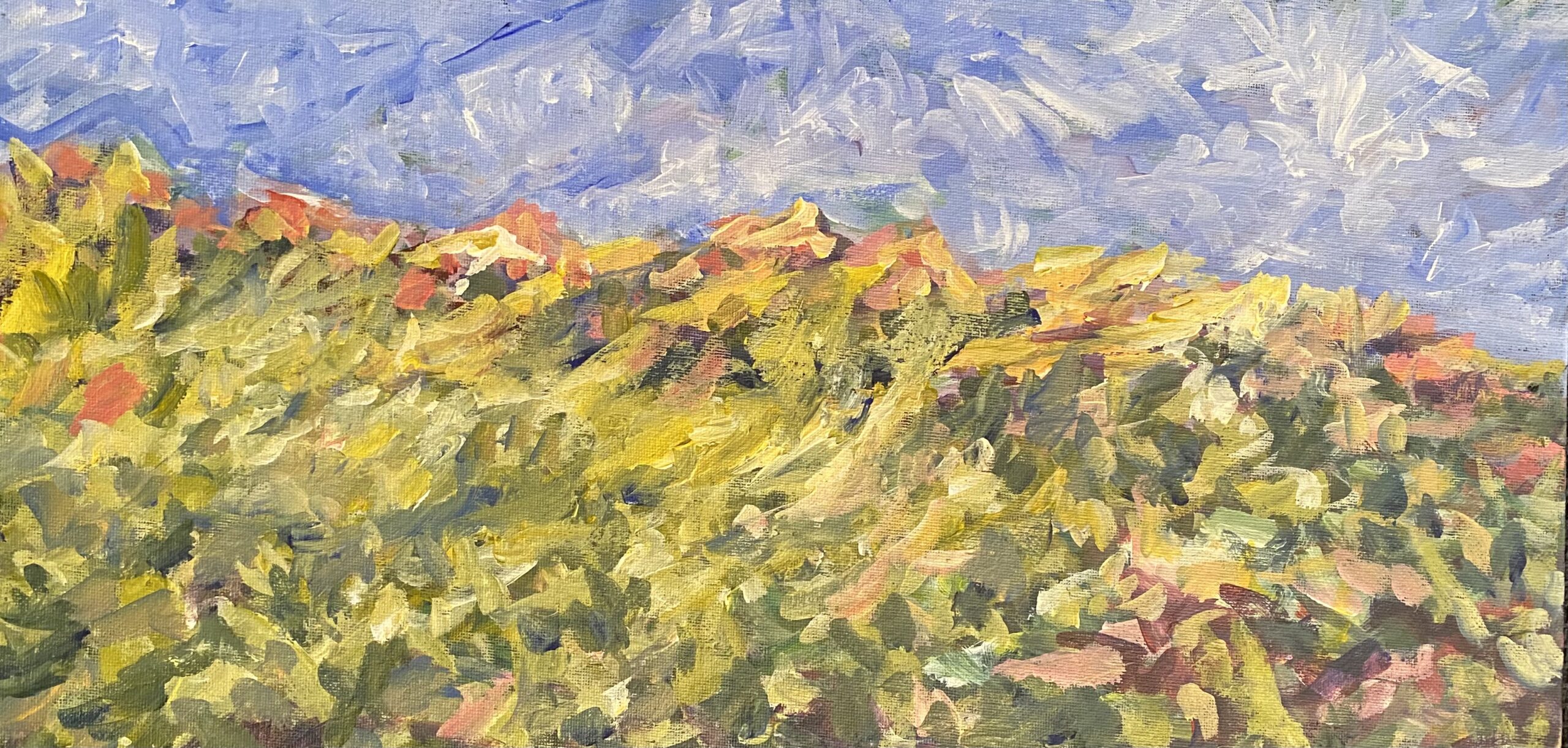 img 0425